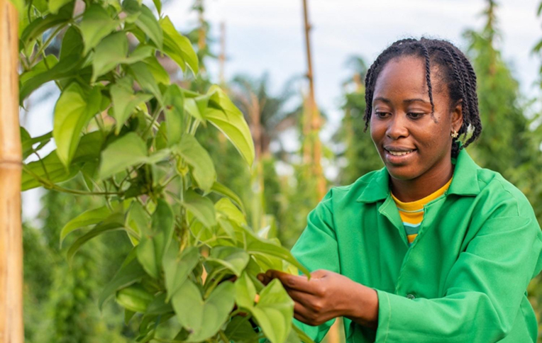 How Borehole Water Can Help Farmers Survive Dry Seasons in Africa